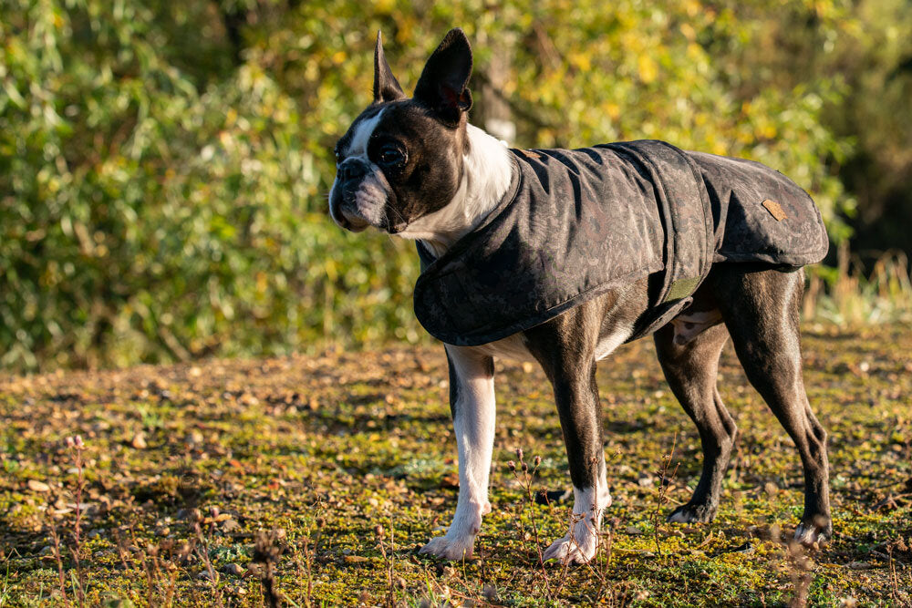THE WEATHER IS CHANGING - CHECKOUT THE NASH DOG COAT !