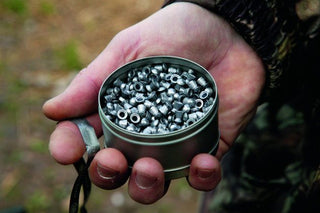 AIR RIFLE & AIRGUN PELLETS BY RWS