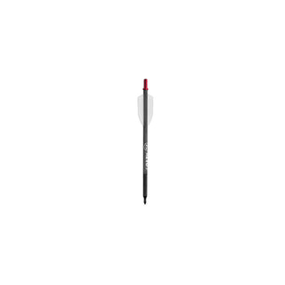 Revo 7 Heavy Carbon Bolts D-124B10