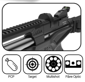 Beeman General PcP Rifle .22 2026T