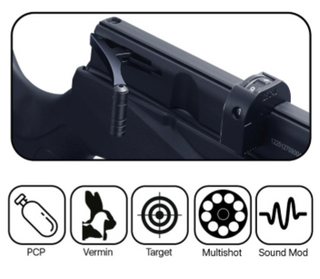 Beeman Raider Pro PcP .22 Rifle
