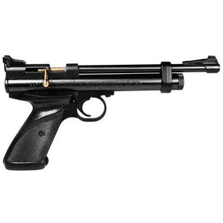 Crosman 2240 Ratbuster co2 .22 Pistol